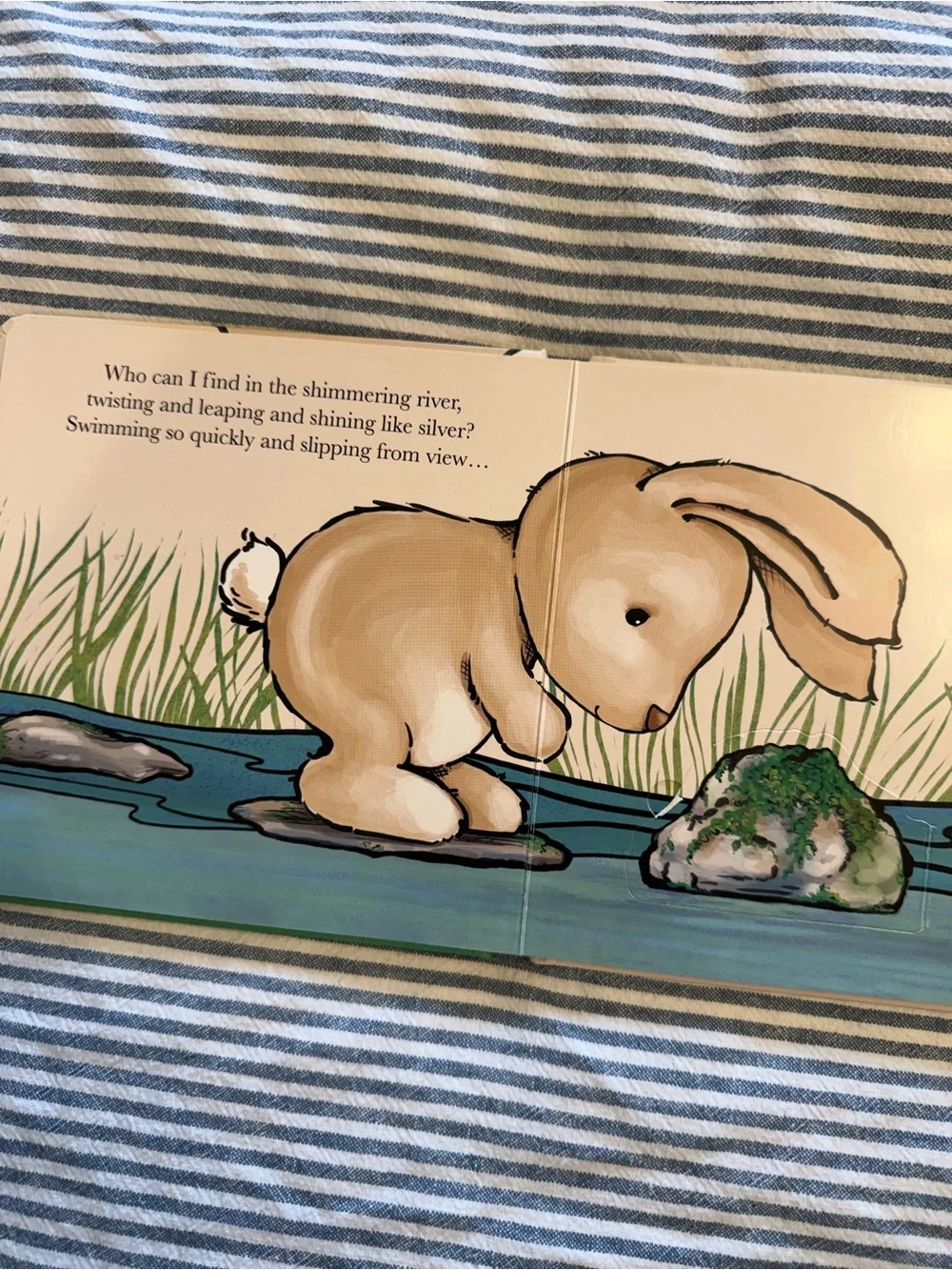 3 board book bundle